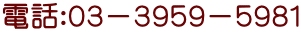 電話：０３－３９５９－５９８１